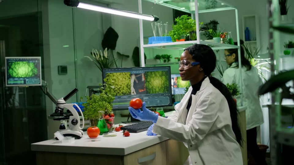 Innovation in organic agriculture