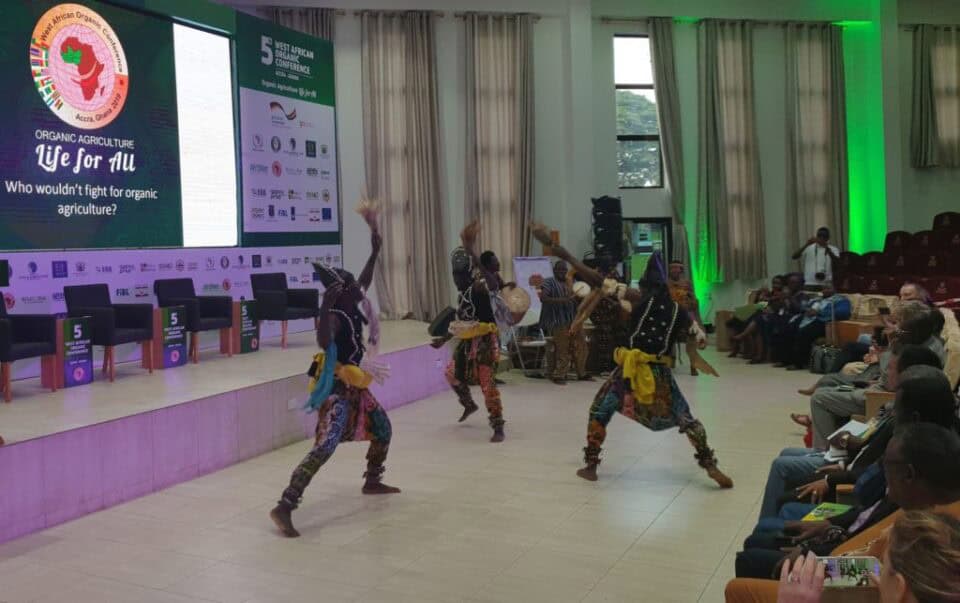 WAOC-dancing-group-1024x643